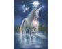 The Magic of Unicorns Oracle Cards