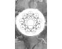 The Enneagram Type 8 Journal view 8