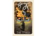 Fifth Spirit Tarot view 11
