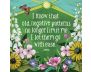 Louise Hay's Affirmations for Forgiveness