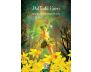 The Sacred Forest Oracle view 7