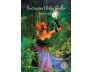 The Sacred Forest Oracle view 10