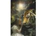 Soul Coaching Oracle Cards view 5