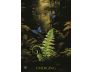Soul Coaching Oracle Cards view 10