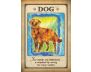 Messages From Your Animal Spirit Guides Oracle Cards