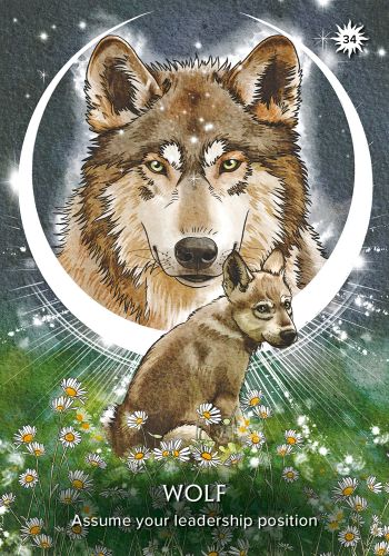 The Earth Guardian Oracle view 8