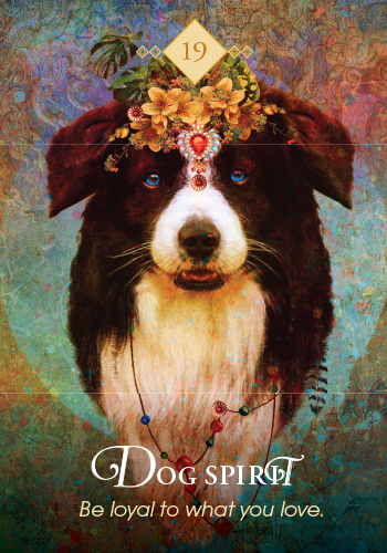 The Spirit Animal Oracle