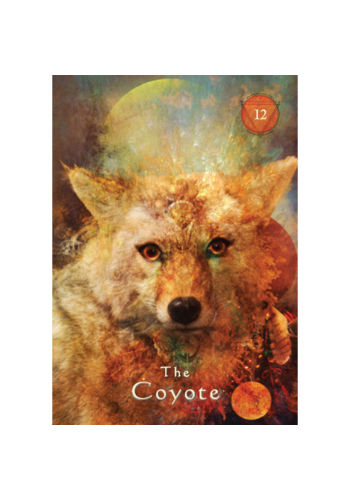 Mystical Shaman Oracle Cards view 4