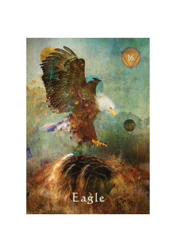 Mystical Shaman Oracle Cards view 7