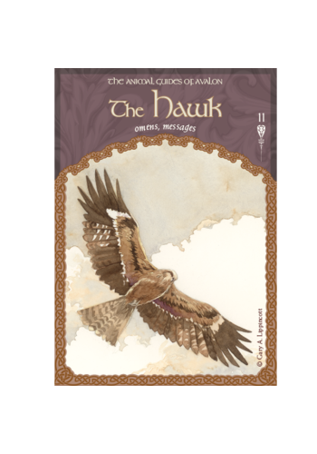 The Wisdom of Avalon Oracle Cards view 5
