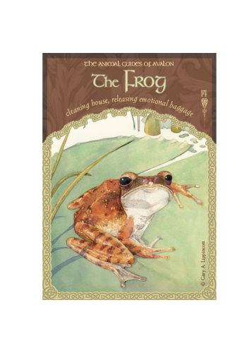 The Wisdom of Avalon Oracle Cards view 7