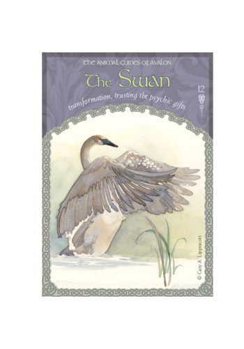 The Wisdom of Avalon Oracle Cards view 6