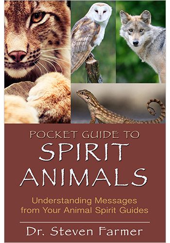 Pocket Guide to Spirit Animals view 1
