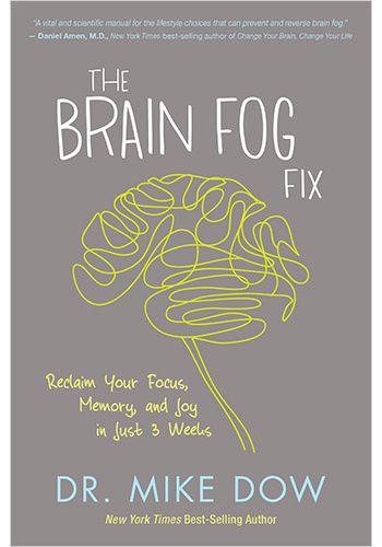 The Brain Fog Fix view 1
