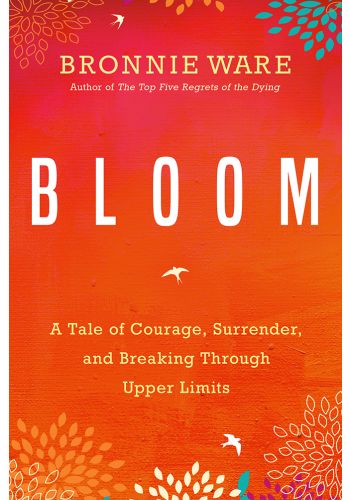 Bloom view 1