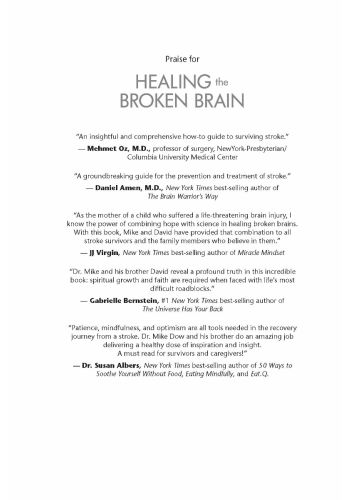 Healing the Broken Brain view 2