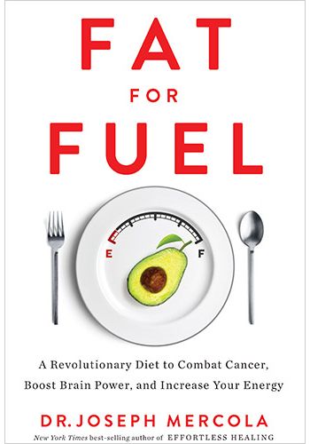 Fat for Fuel view 1