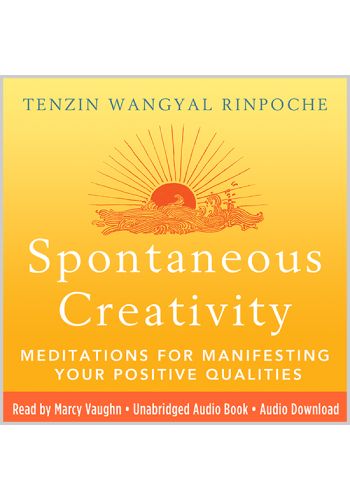  Spontaneous Creativity view 1