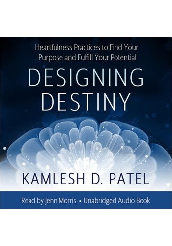 Designing Destiny view 1