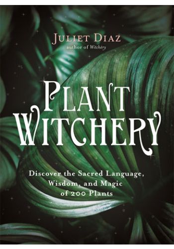 Plant Witchery view 1
