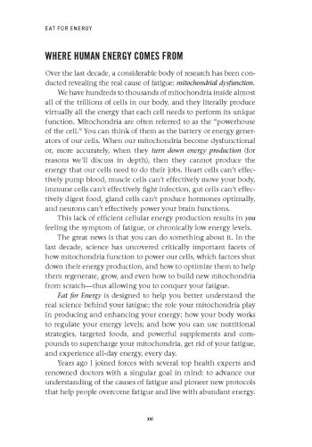 Eat for Energy view 6
