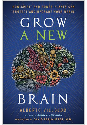 Grow a New Brain view 1