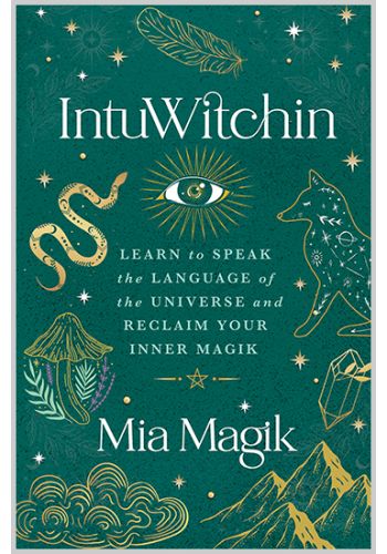 IntuWitchin view 1