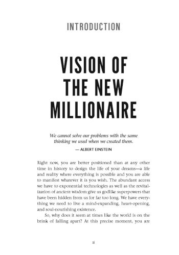 The New Millionaire's Playbook view 2