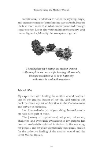 Transforming the Mother Wound view 10