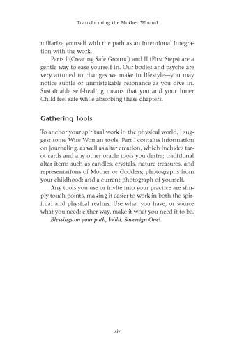 Transforming the Mother Wound view 8