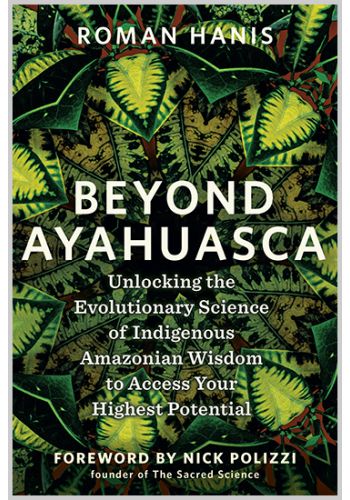 Beyond Ayahuasca view 1