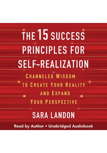 The 15 Success Principles for Self-Realization view 1
