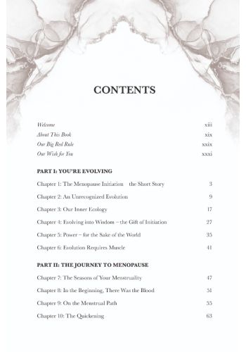 Wise Power view 11