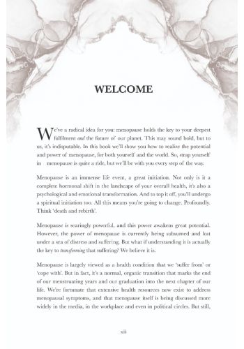 Wise Power view 9