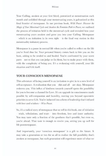 Wise Power view 8