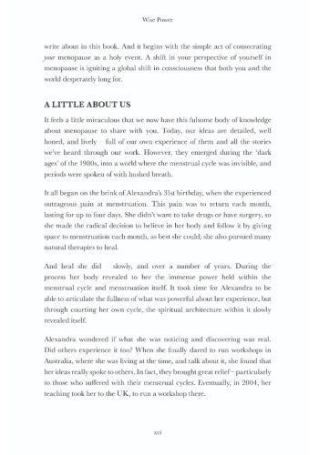 Wise Power view 7