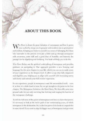 Wise Power view 4