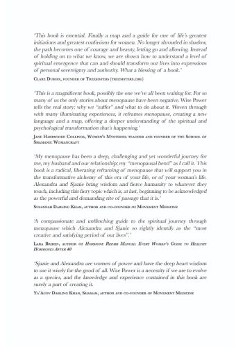 Wise Power view 3