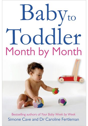 Baby to Toddler Month By Month view 1