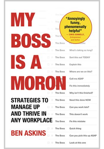 My Boss Is a Moron view 1