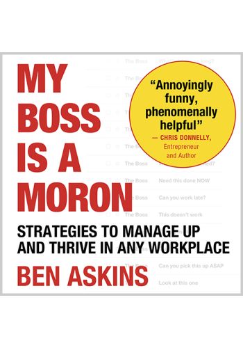 My Boss is a Moron view 1