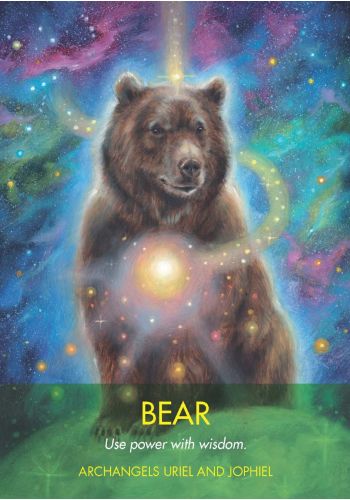 Archangel Animal Oracle Cards view 3