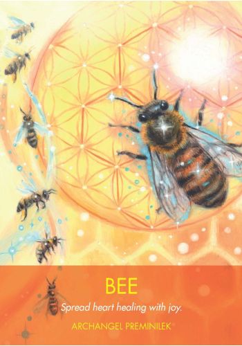 Archangel Animal Oracle Cards view 5