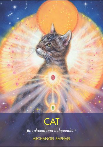 Archangel Animal Oracle Cards view 6