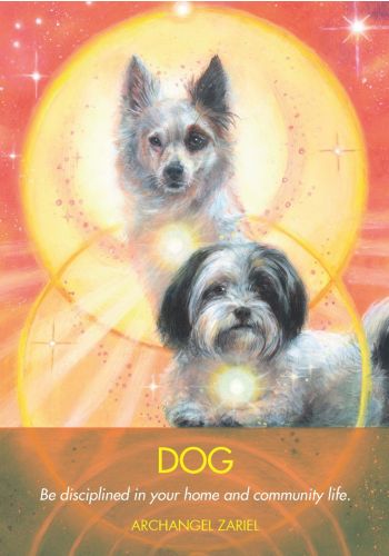 Archangel Animal Oracle Cards view 7