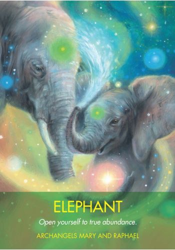Archangel Animal Oracle Cards view 8