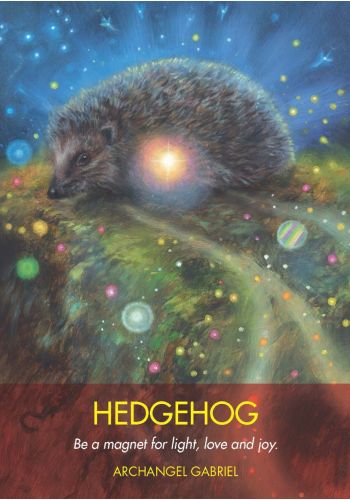 Archangel Animal Oracle Cards view 9