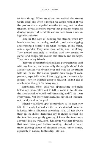 Aura Alchemy view 7