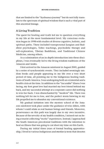 Beyond Ayahuasca view 5
