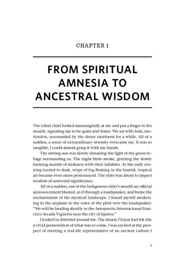 Beyond Ayahuasca view 4